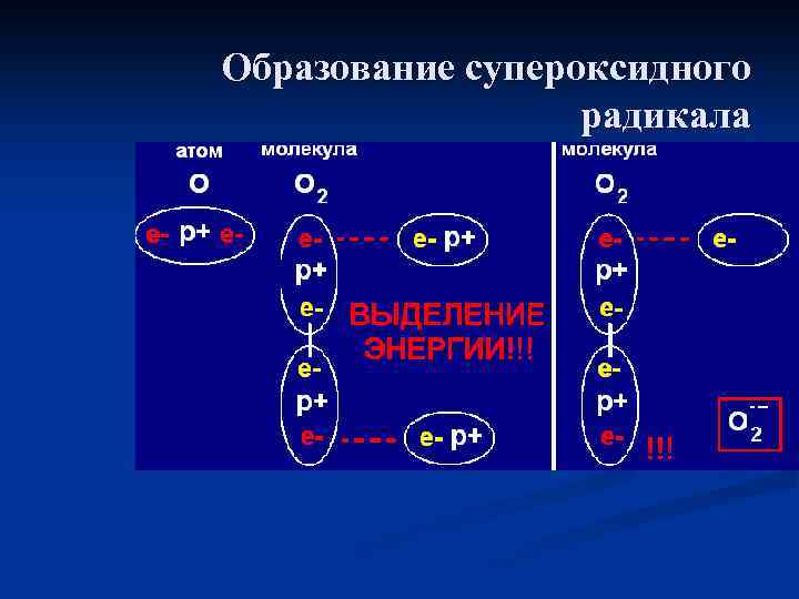 Образование супероксидного радикала 