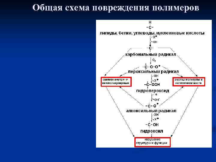 Общая схема повреждения полимеров 