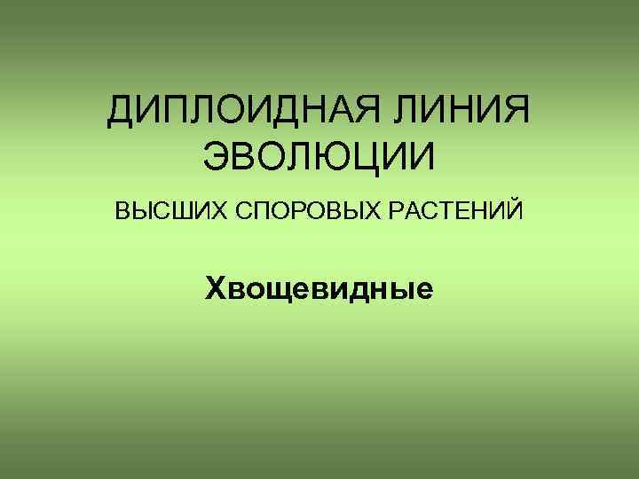 ДИПЛОИДНАЯ ЛИНИЯ ЭВОЛЮЦИИ ВЫСШИХ СПОРОВЫХ РАСТЕНИЙ Хвощевидные 