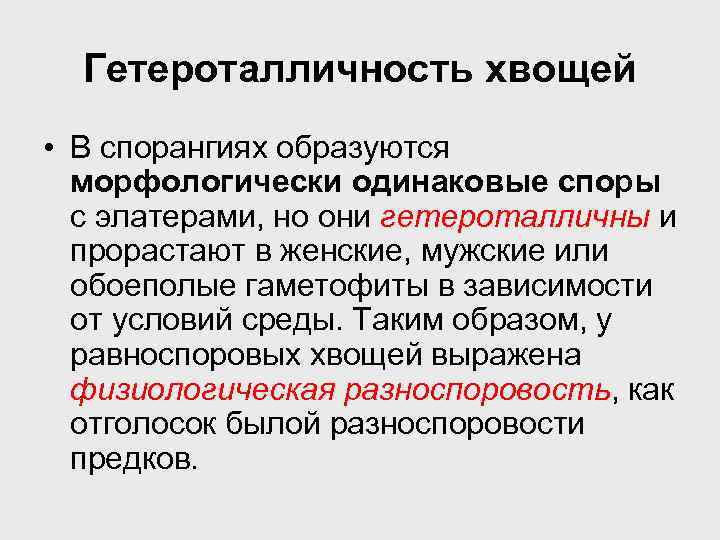 Гетероталличность хвощей • В спорангиях образуются морфологически одинаковые споры с элатерами, но они гетероталличны