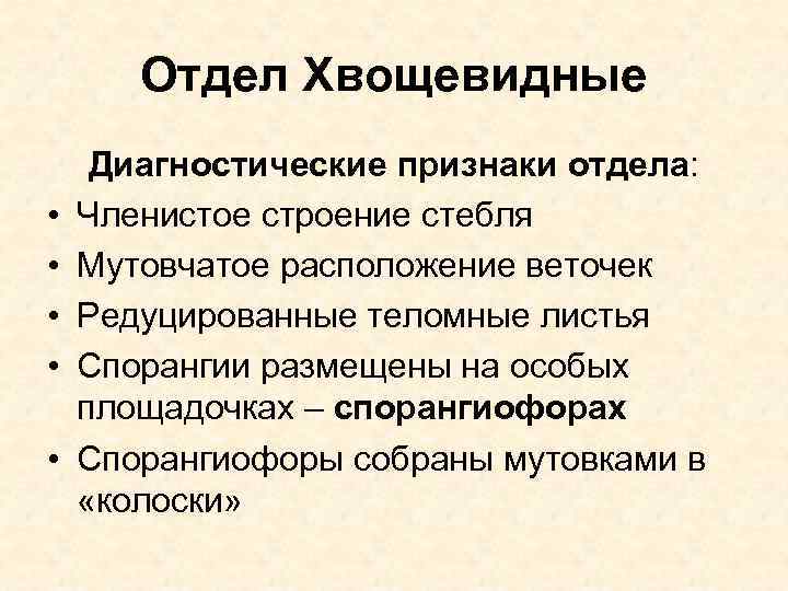 Отдел Хвощевидные • • • Диагностические признаки отдела: Членистое строение стебля Мутовчатое расположение веточек