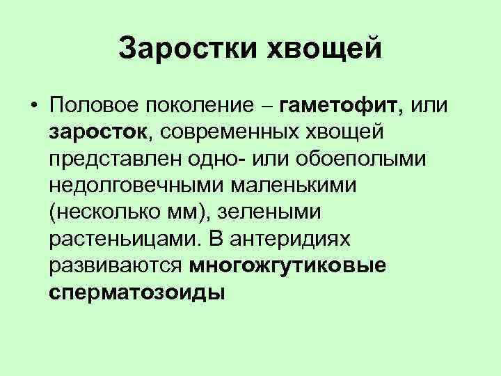 Заростки хвощей • Половое поколение гаметофит, или заросток, современных хвощей представлен одно- или обоеполыми