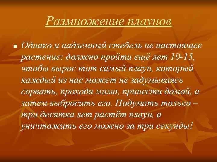 Размножение плаунов n Однако и надземный стебель не настоящее растение: должно пройти ещё лет