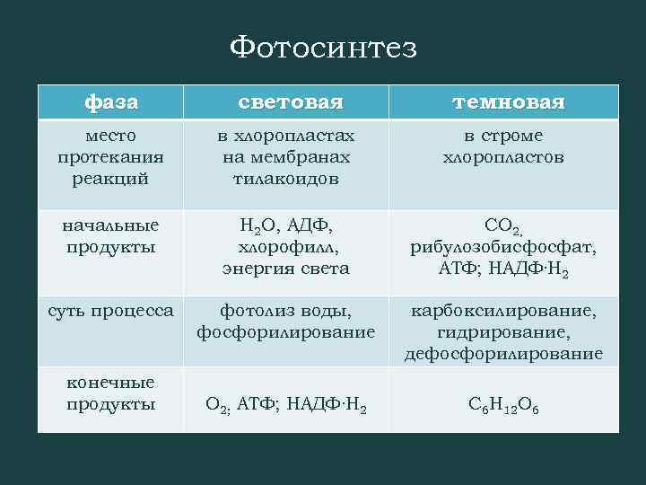 Фотосинтез фаза световая место протекания реакций в хлоропластах на мембранах тилакоидов в строме хлоропластов