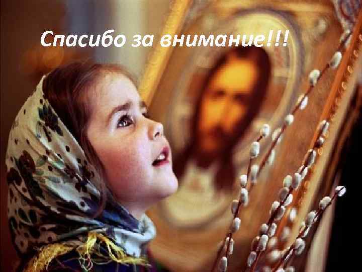 Спасибо за внимание!!! 