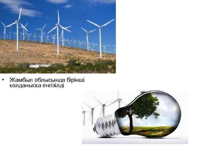  • Жамбыл облысында бірінші қолданысқа енгізілді 