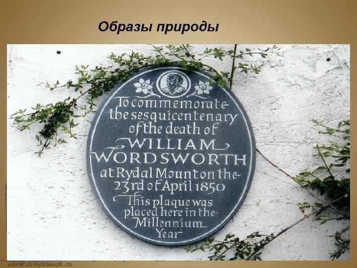 Образы природы 