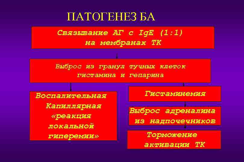 ПАТОГЕНЕЗ БА Связывание АГ с Ig. E (1: 1) на мембранах ТК Выброс из