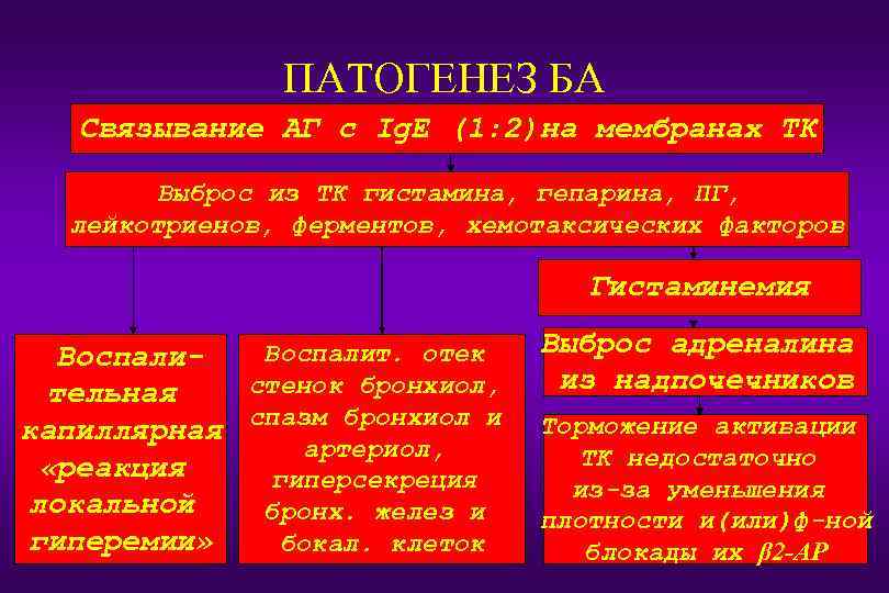 ПАТОГЕНЕЗ БА Связывание АГ с Ig. E (1: 2)на мембранах ТК Выброс из ТК