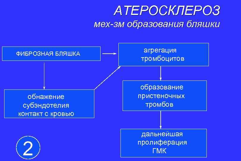 АТЕРОСКЛЕРОЗ мех-зм образования бляшки ФИБРОЗНАЯ БЛЯШКА обнажение субэндотелия контакт с кровью 2 агрегация тромбоцитов