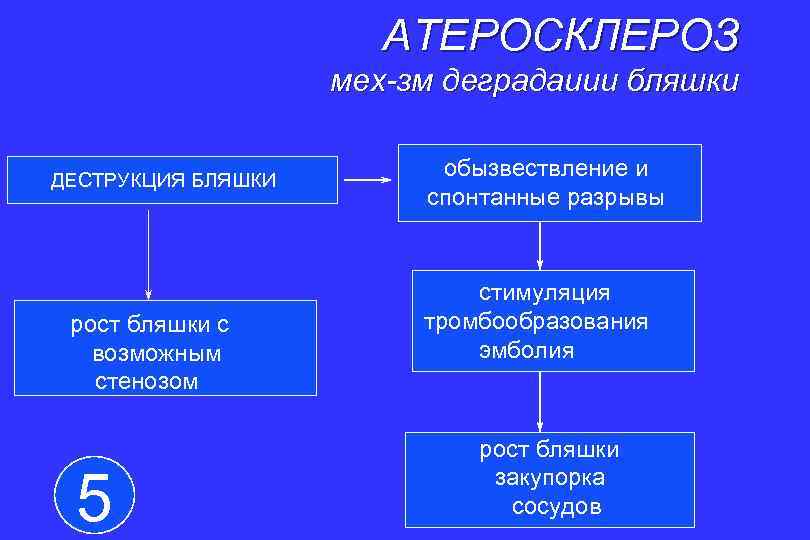 АТЕРОСКЛЕРОЗ мех-зм деградаиии бляшки ДЕСТРУКЦИЯ БЛЯШКИ рост бляшки с возможным стенозом 5 обызвествление и