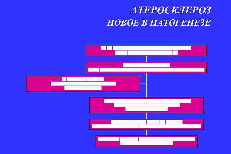 АТЕРОСКЛЕРОЗ НОВОЕ В ПАТОГЕНЕЗЕ 