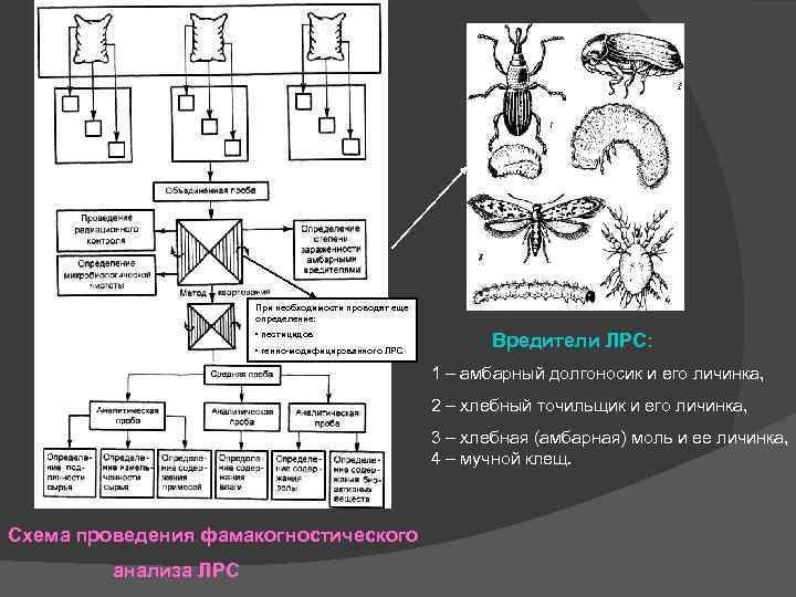 При необходимости проводят еще определение: • пестицидов • генно-модифицированного ЛРС Вредители ЛРС: 1 –