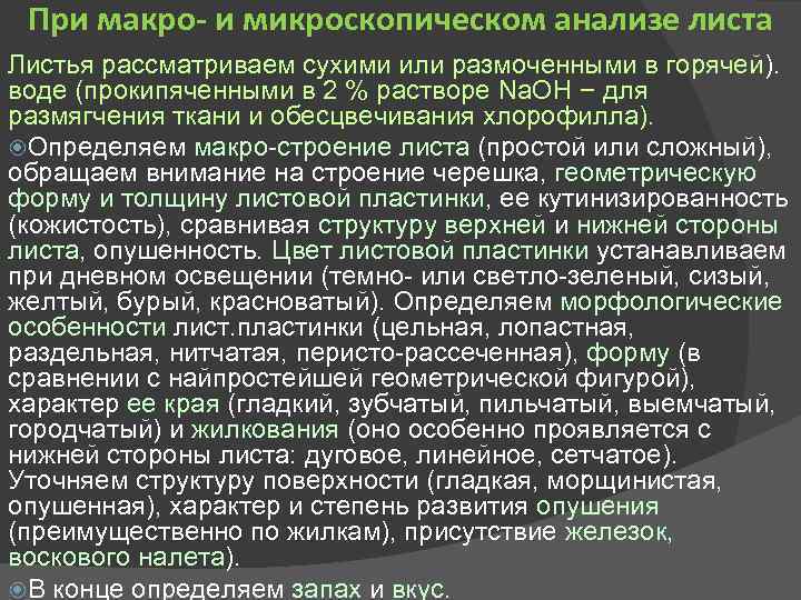 При макро и микроскопическом анализе листа Листья рассматриваем сухими или размоченными в горячей). воде