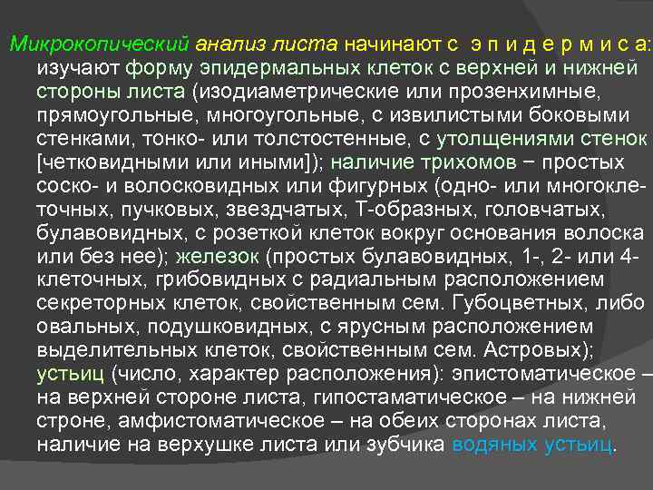 Микрокопический анализ листа начинают с э п и д е р м и с