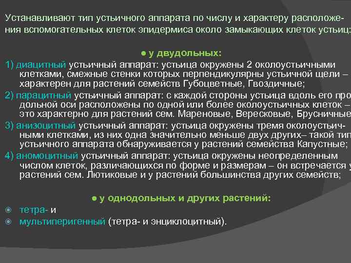 Устанавливают тип устьичного аппарата по числу и характеру расположения вспомогательных клеток эпидермиса около замыкающих