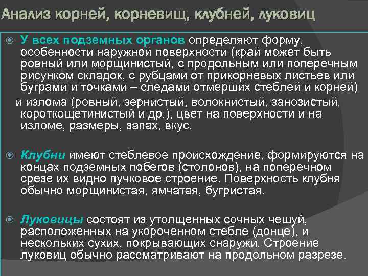 Анализ корней, корневищ, клубней, луковиц У всех подземных органов определяют форму, особенности наружной поверхности