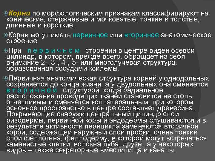  Корни по морфологическим признакам классифицируют на конические, стержневые и мочковатые, тонкие и толстые,