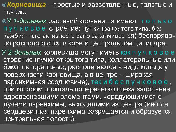  Корневища – простые и разветвленные, толстые и тонкие. У 1 -дольных растений корневища