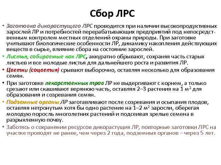 Сбор ЛРС • Заготовка дикорастущего ЛРС проводится при наличии высокопродуктивных зарослей ЛР и потребностей