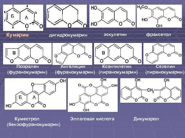 Б А Кумарин дигидрокумарин В эскулетин фраксетол В Псорален (фуранокумарин) Б Ангелицин Ксантилетин (фуранокумарин)