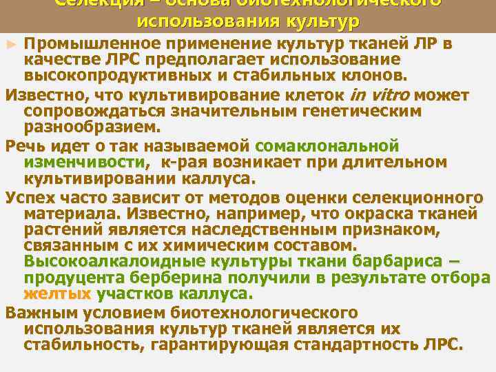 Селекция – основа биотехнологического использования культур Промышленное применение культур тканей ЛР в качестве ЛРС