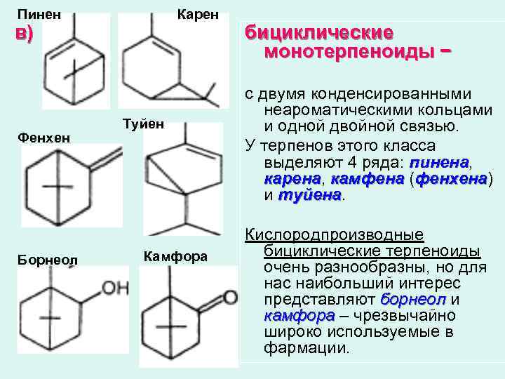 Пинен Карен в) Фенхен Борнеол Туйен Камфора бициклические монотерпеноиды − с двумя конденсированными неароматическими