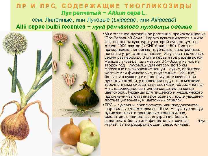 Л Р И Л Р С, С О Д Е Р Ж А Щ