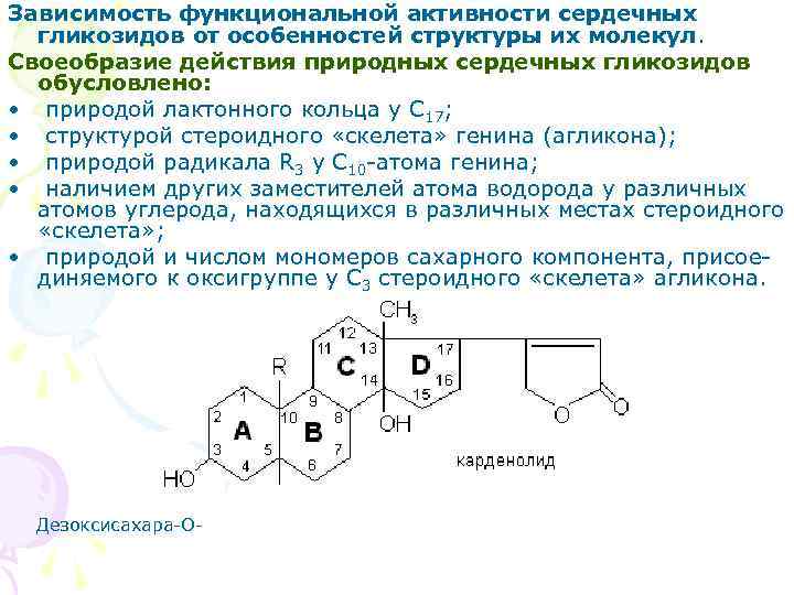Зависимость функциональной активности сердечных гликозидов от особенностей структуры их молекул. Своеобразие действия природных сердечных
