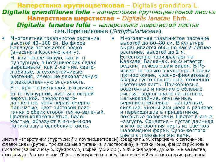 Наперстянка крупноцветковая – Digitalis grandiflora L. Digitalis grandiflorae folia - наперстянки крупноцветковой листья Наперстянка