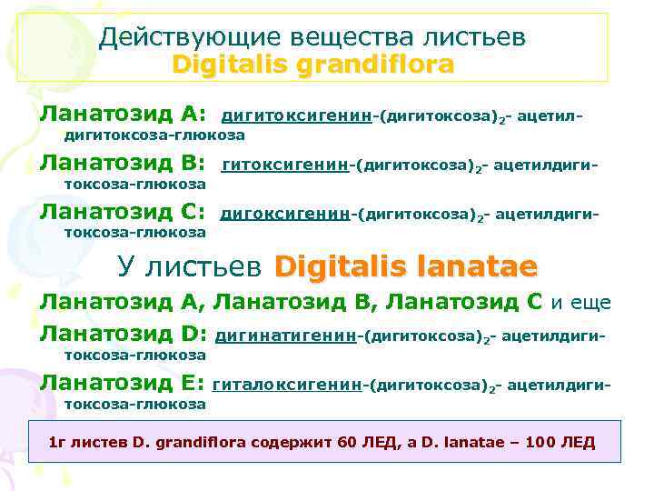 Действующие вещества листьев Digitalis grandiflora Ланатозид А: дигитоксигенин-(дигитоксоза)2 - ацетил- Ланатозид B: гитоксигенин-(дигитоксоза)2 -