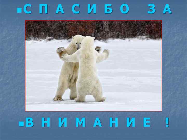 n. С П А С И Б О З А n. В Н И