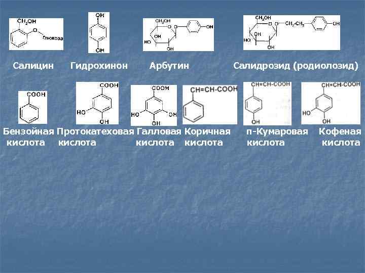 Салицин Гидрохинон Арбутин Бензойная Протокатеховая Галловая Коричная кислота Салидрозид (родиолозид) п-Кумаровая кислота Кофеная кислота