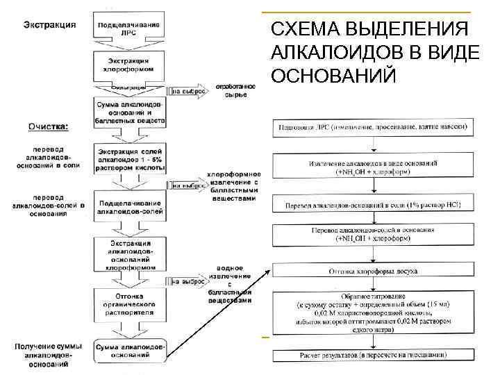 СХЕМА ВЫДЕЛЕНИЯ АЛКАЛОИДОВ В ВИДЕ ОСНОВАНИЙ 