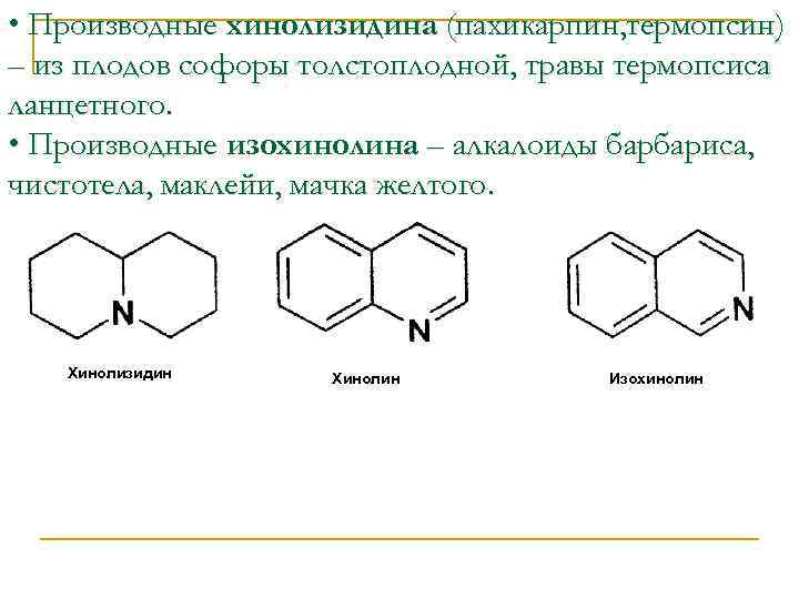  • Производные хинолизидина (пахикарпин, термопсин) – из плодов софоры толстоплодной, травы термопсиса ланцетного.