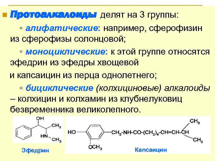 n Протоалкалоиды делят на 3 группы: ▫ алифатические: например, сферофизин из сферофизы солонцовой; ▫