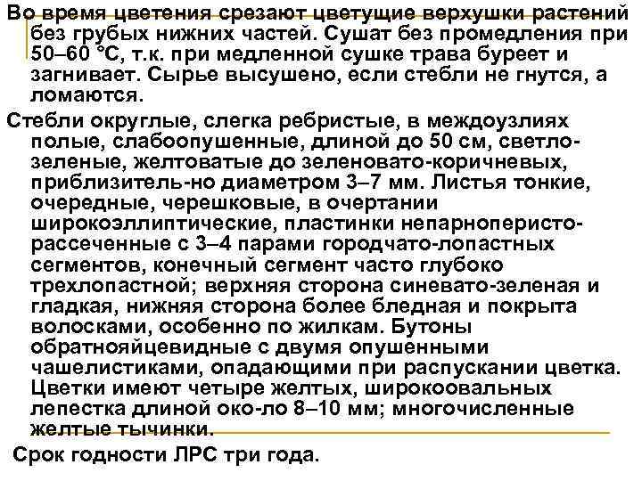 Во время цветения срезают цветущие верхушки растений без грубых нижних частей. Сушат без промедления