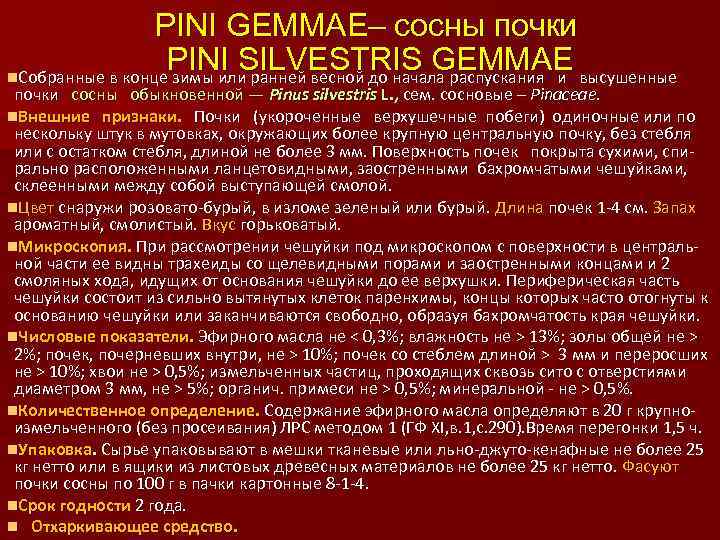 РINI GЕММАЕ– сосны почки PINI SILVESTRIS GEMMAE n. Собранные в конце зимы или ранней