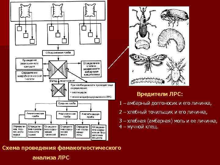 При необходимости проводят еще определение: Вредители ЛРС: • пестицидов • генно-модифицированного ЛРС 1 –