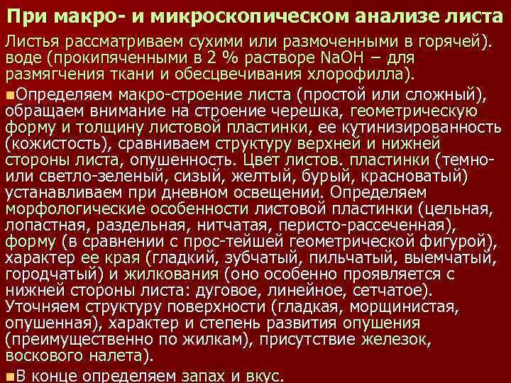 При макро- и микроскопическом анализе листа Листья рассматриваем сухими или размоченными в горячей ).