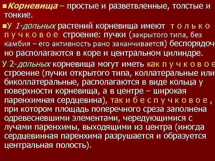 n. Корневища – простые и разветвленные, толстые и тонкие. n. У 1 -дольных растений