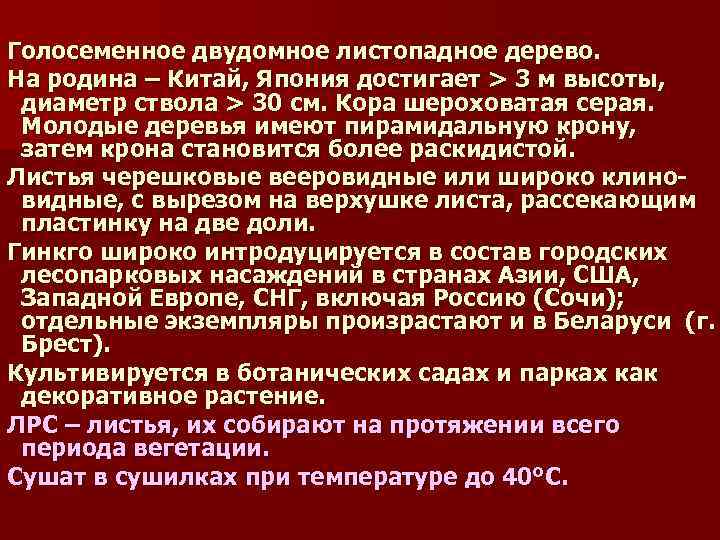 Голосеменное двудомное листопадное дерево. На родина – Китай, Япония достигает > 3 м высоты,