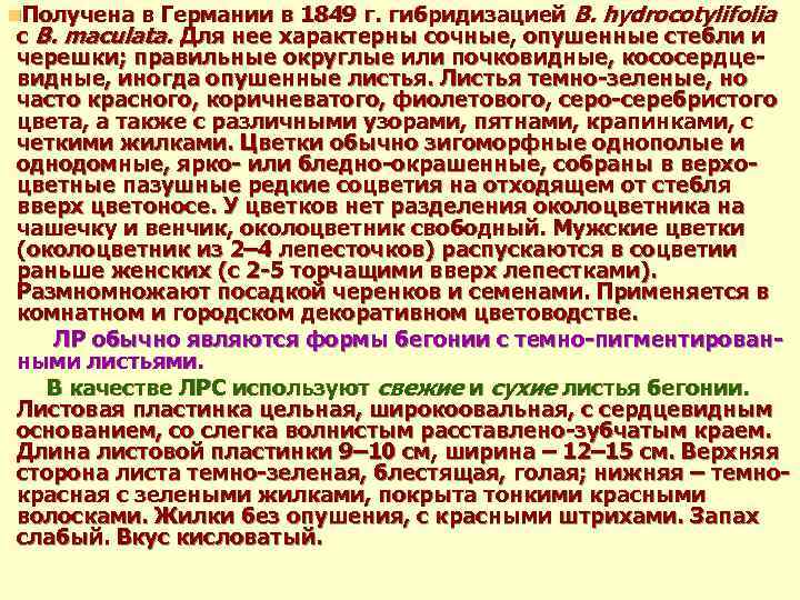 в Германии в 1849 г. гибридизацией B. hydrocotylifolia с B. maculata. Для нее характерны