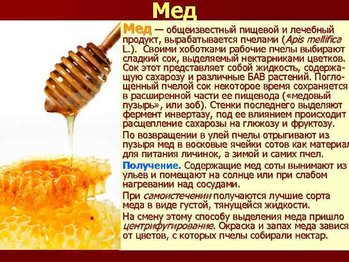 Мед — общеизвестный пищевой и лечебный продукт, вырабатывается пчелами (Apis mellifica L. ). Своими