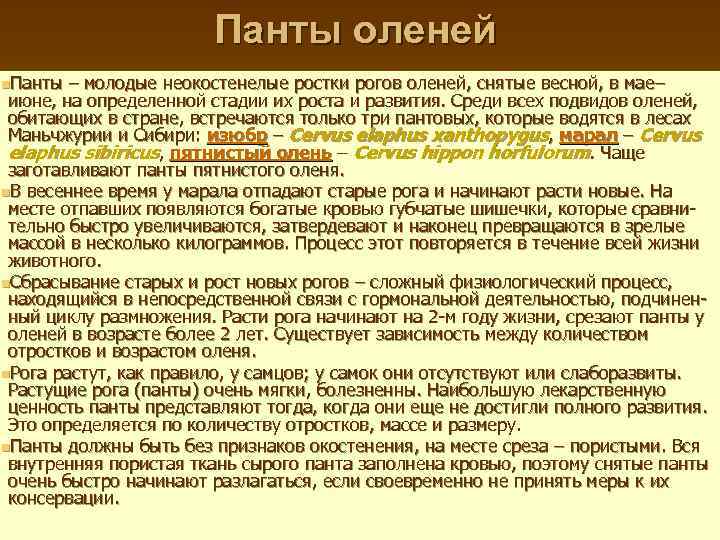 Панты оленей n. Панты – молодые неокостенелые ростки рогов оленей, снятые весной, в мае