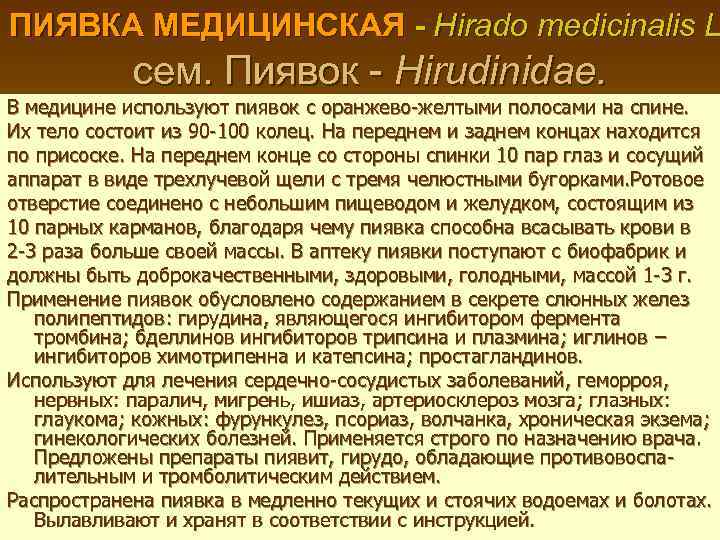 ПИЯВКА МЕДИЦИНСКАЯ - Hirado medicinalis L сем. Пиявок - Hirudinidae. В медицине используют пиявок