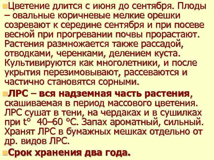 n. Цветение длится с июня до сентября. Плоды – овальные коричневые мелкие орешки созревают