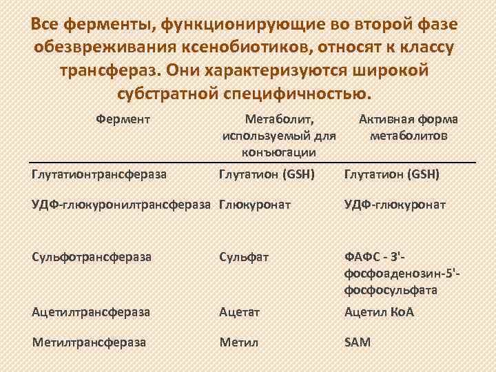 Все ферменты, функционирующие во второй фазе обезвреживания ксенобиотиков, относят к классу трансфераз. Они характеризуются