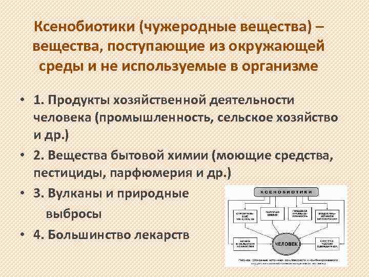 Ксенобиотики (чужеродные вещества) – вещества, поступающие из окружающей среды и не используемые в организме