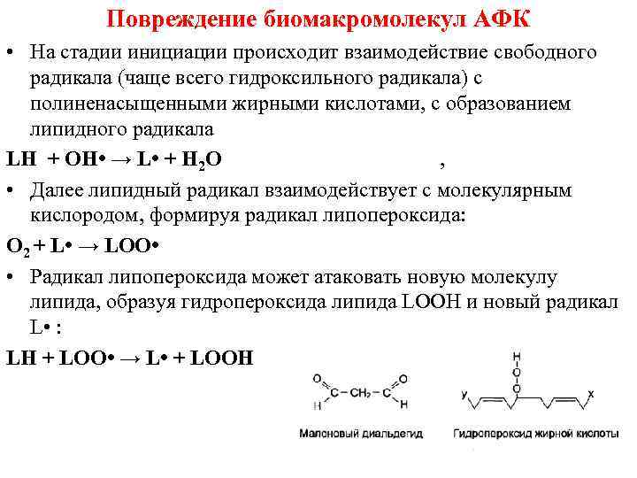 Повреждение биомакромолекул АФК • На стадии инициации происходит взаимодействие свободного радикала (чаще всего гидроксильного